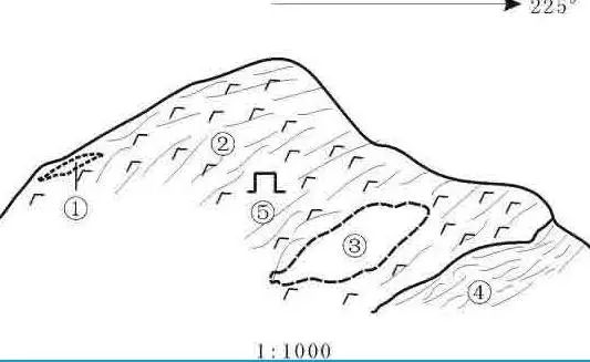 【視野】翡翠界6大